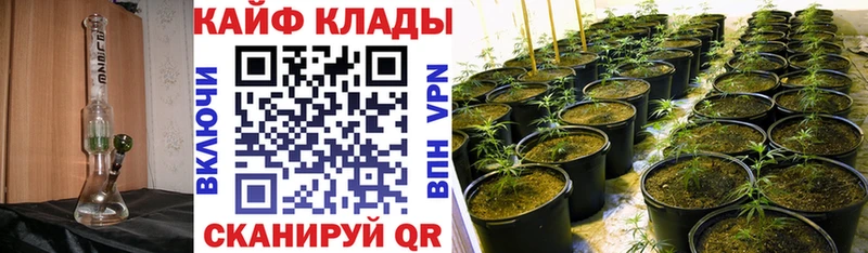 Где купить наркоту Верхняя Пышма КОКАИН  Галлюциногенные грибы  A PVP  МАРИХУАНА  МЕФ 